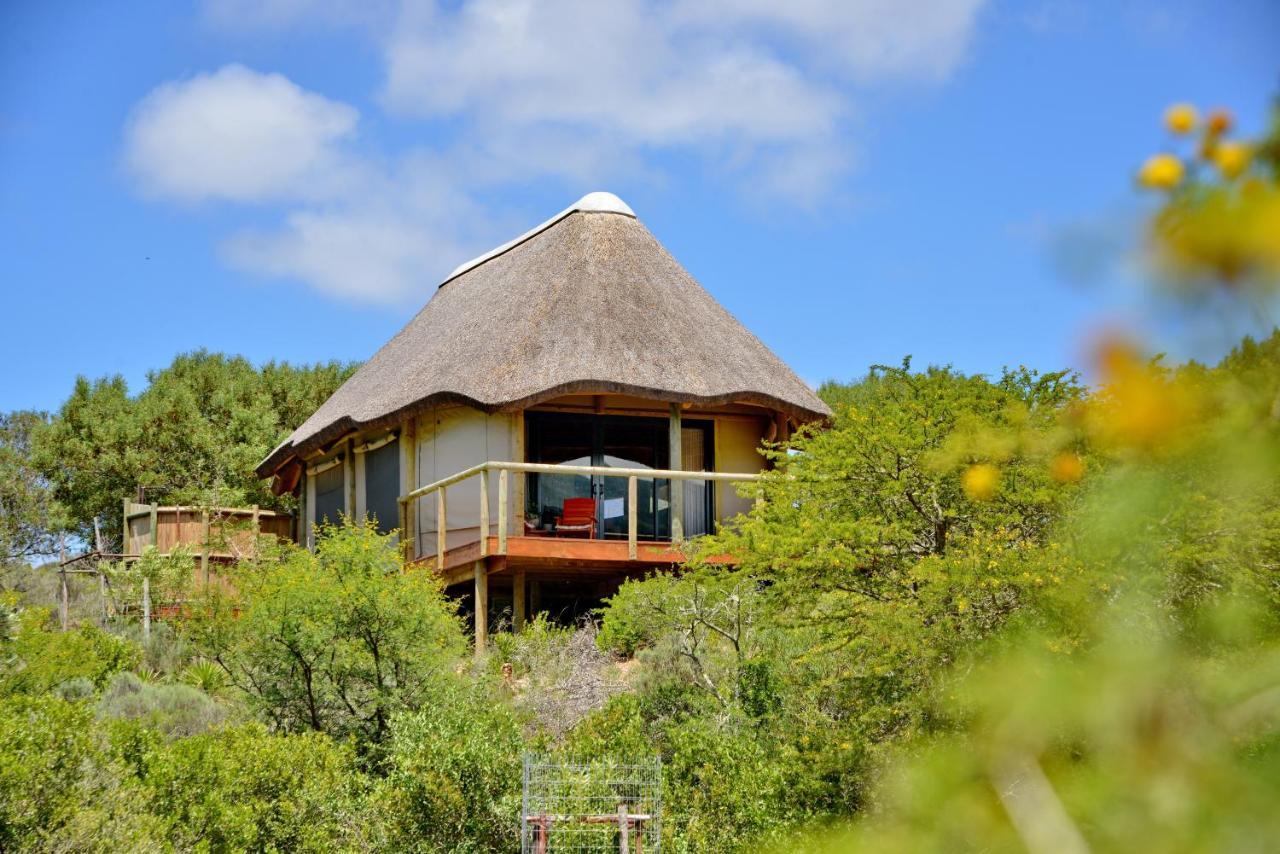 Garden Route Safari Camp Hotel