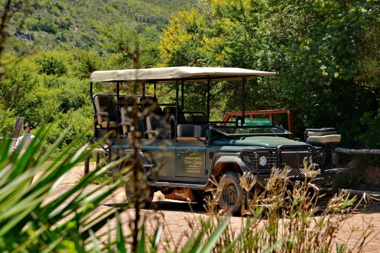 Garden Route Safari Camp Hotel
