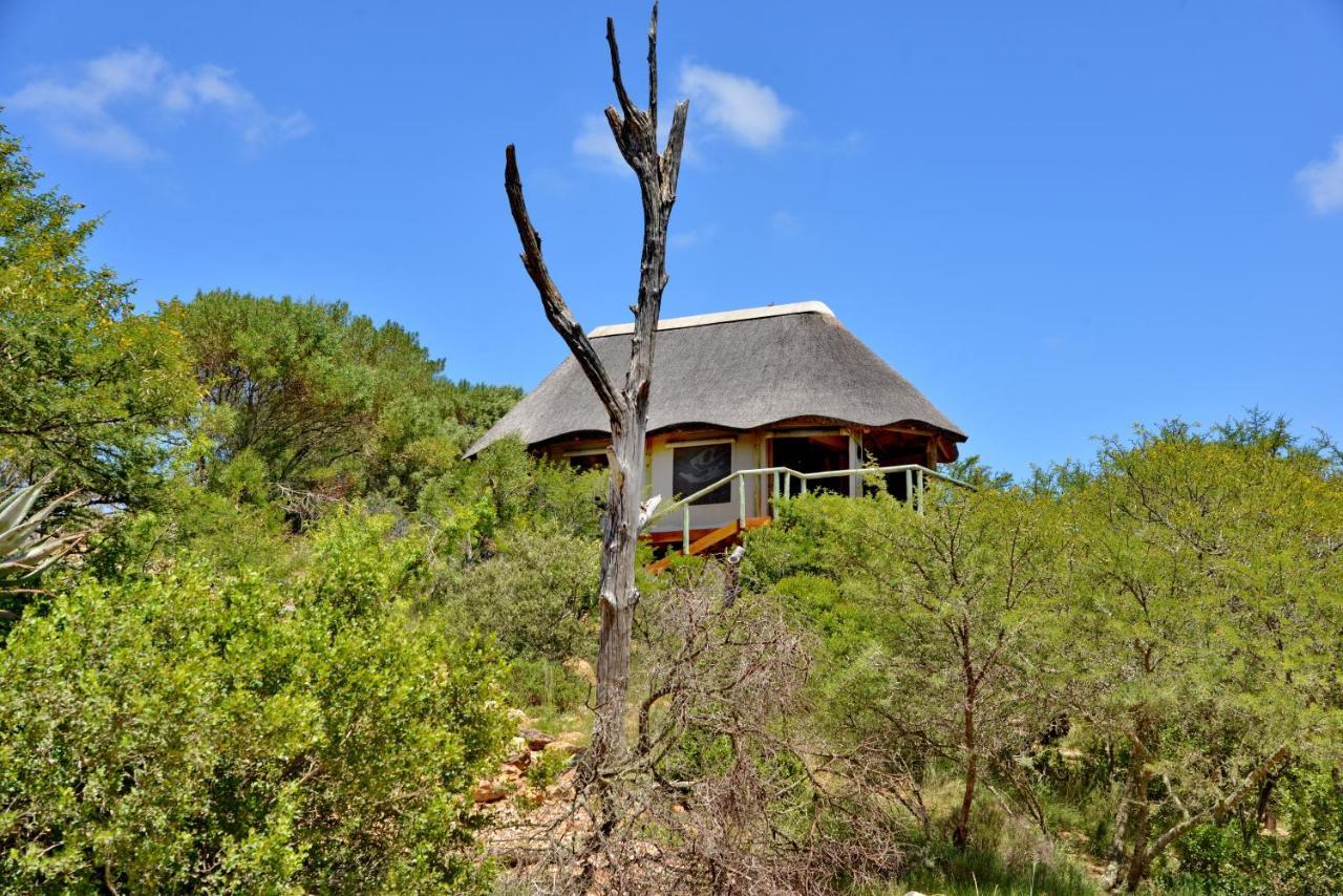 Garden Route Safari Camp 3*
