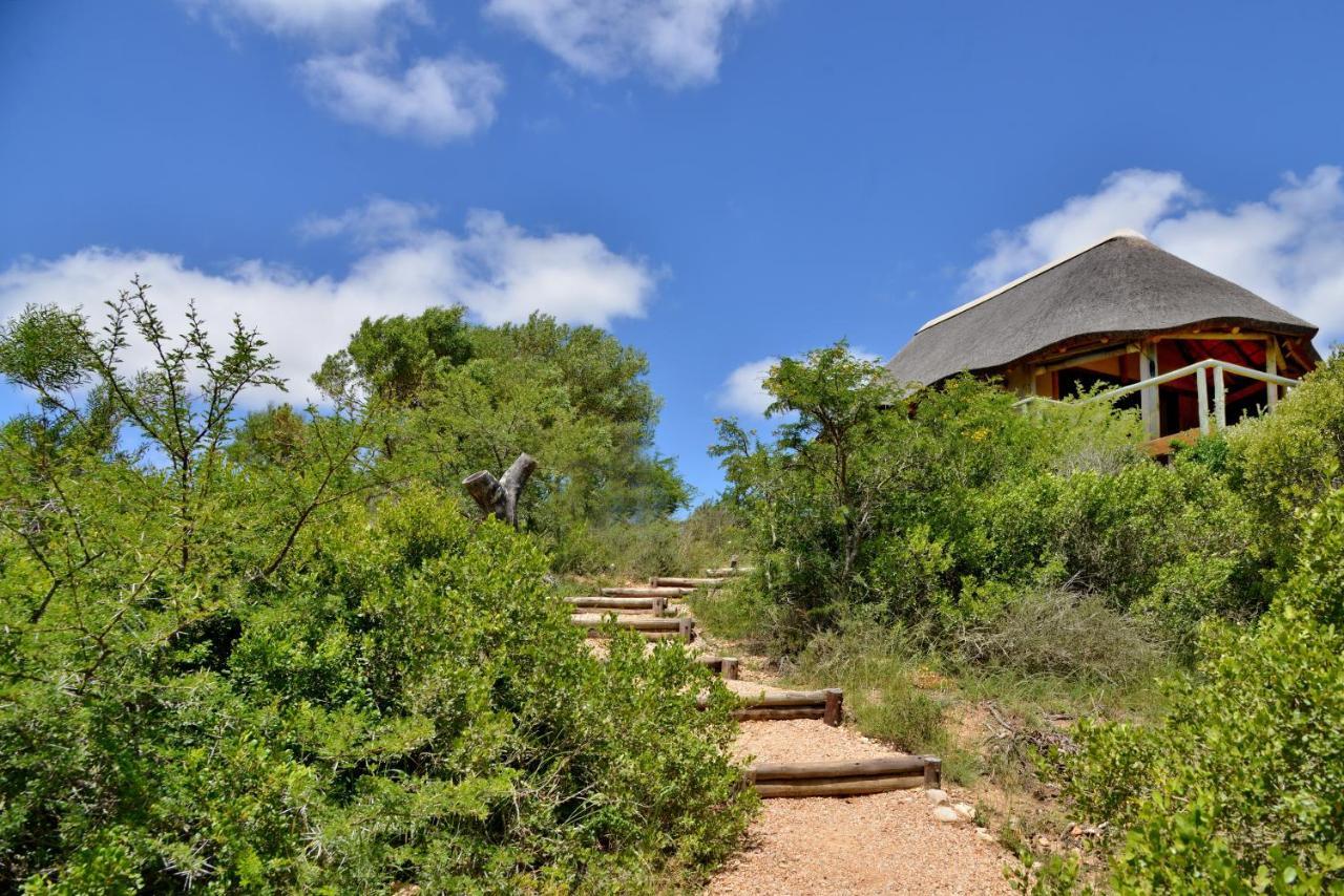 Garden Route Safari Camp Mossel Bay