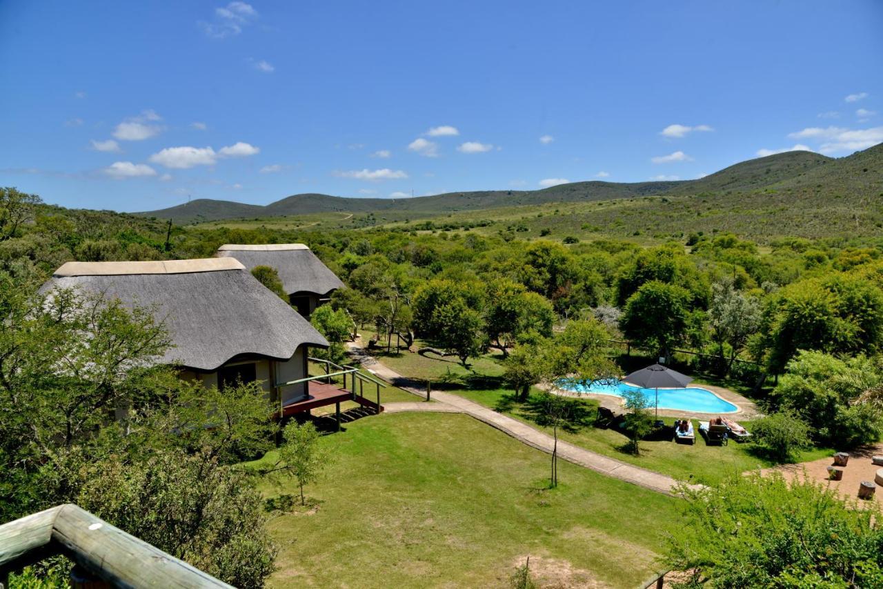 Garden Route Safari Camp Mossel Bay