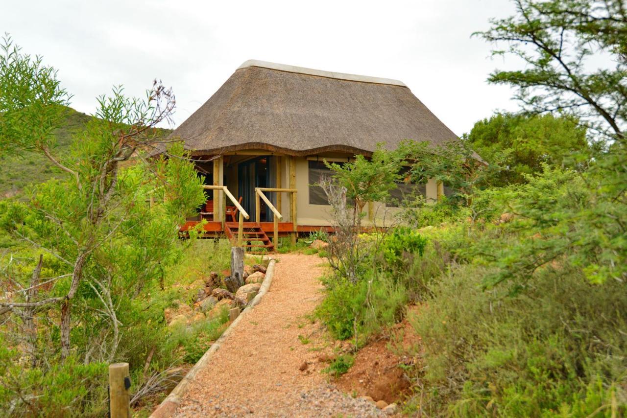 Garden Route Safari Camp 3* Mossel Bay