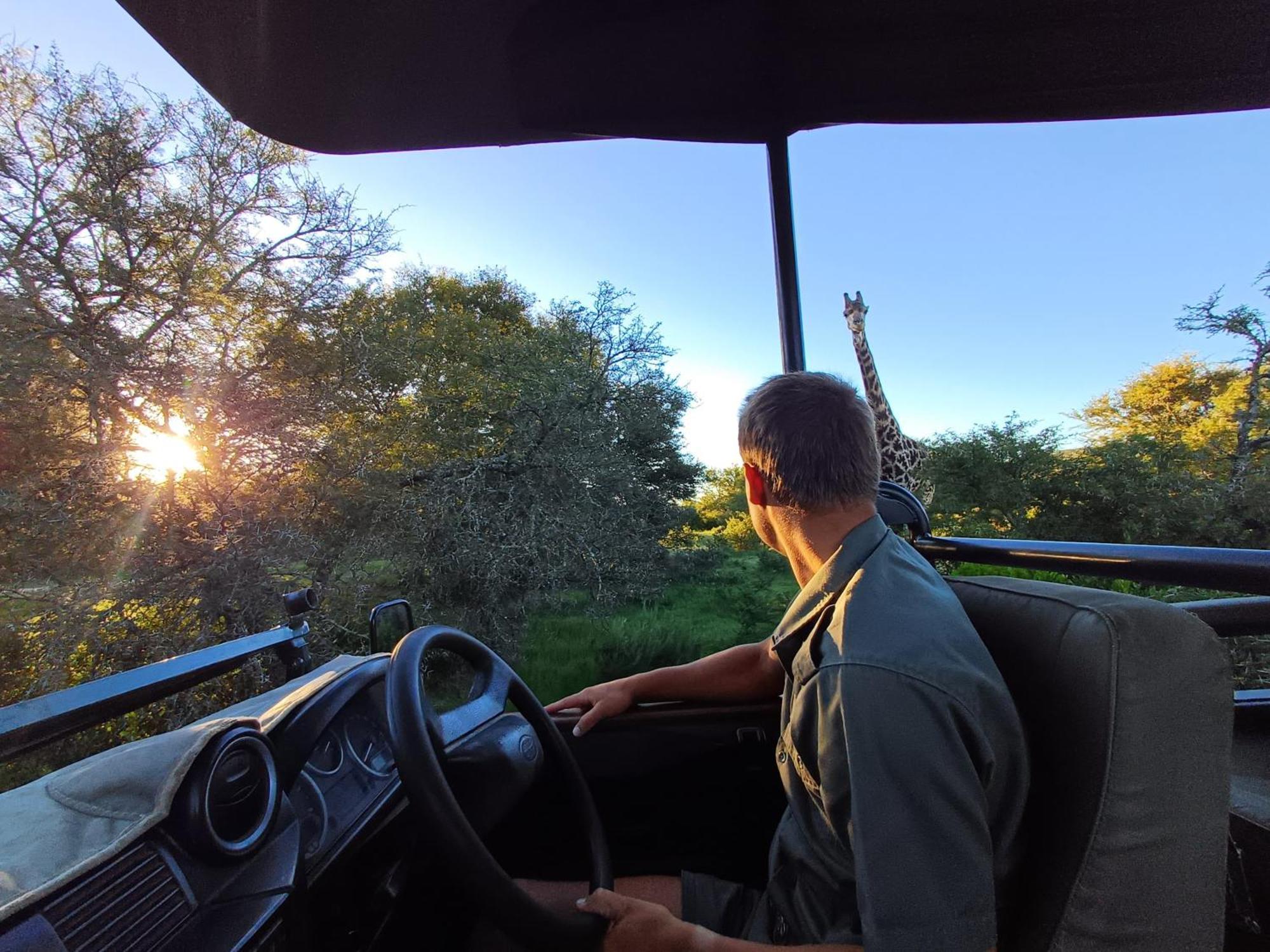 Hotel Garden Route Safari Camp 3*