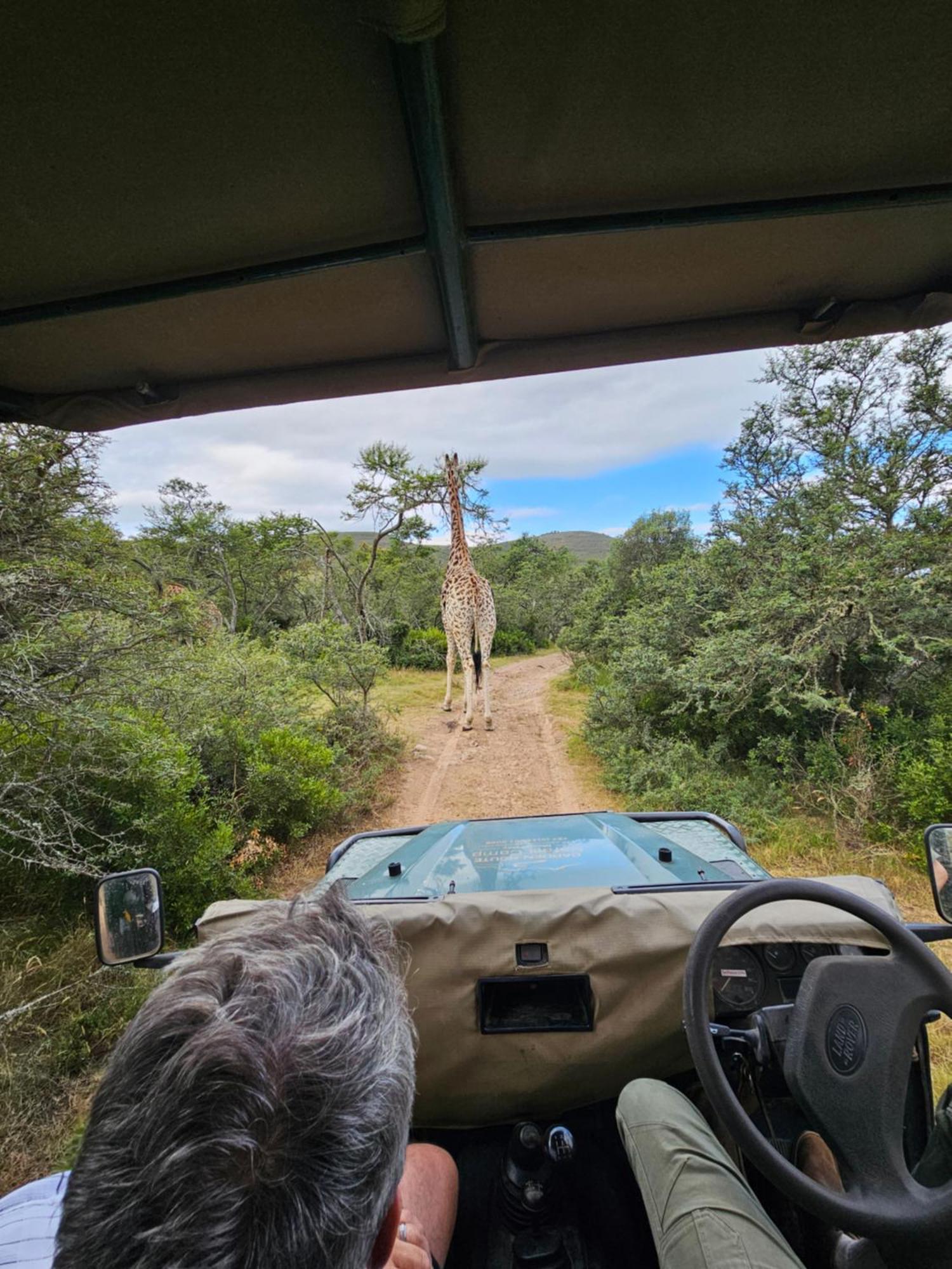 Garden Route Safari Camp Hotel
