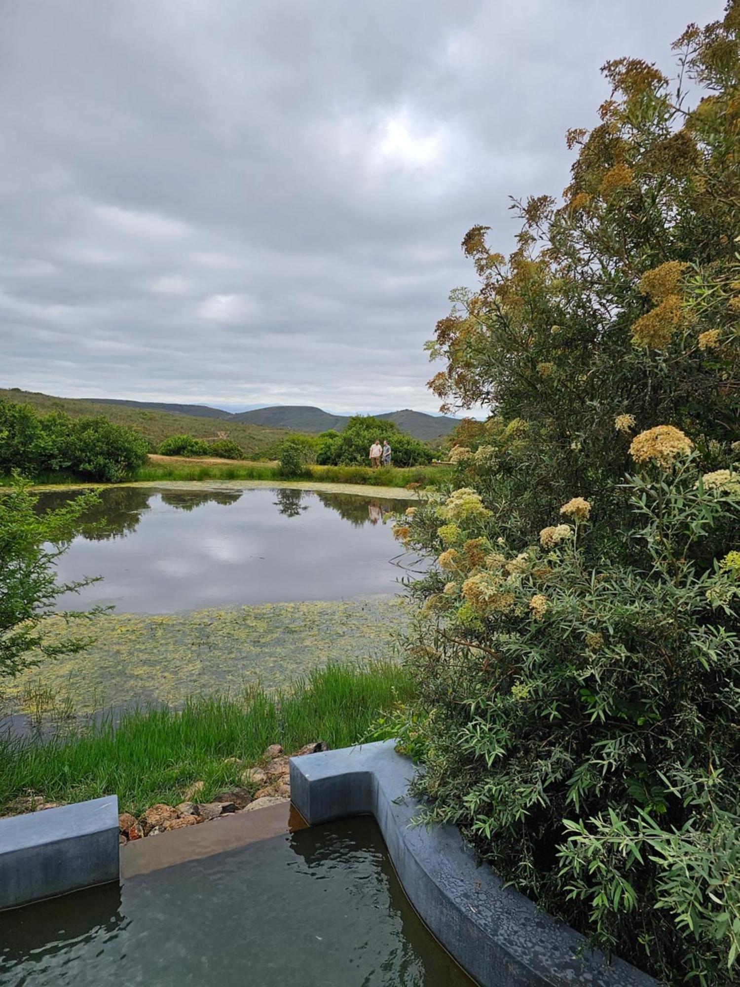 Garden Route Safari Camp Hotel Mosselbaai