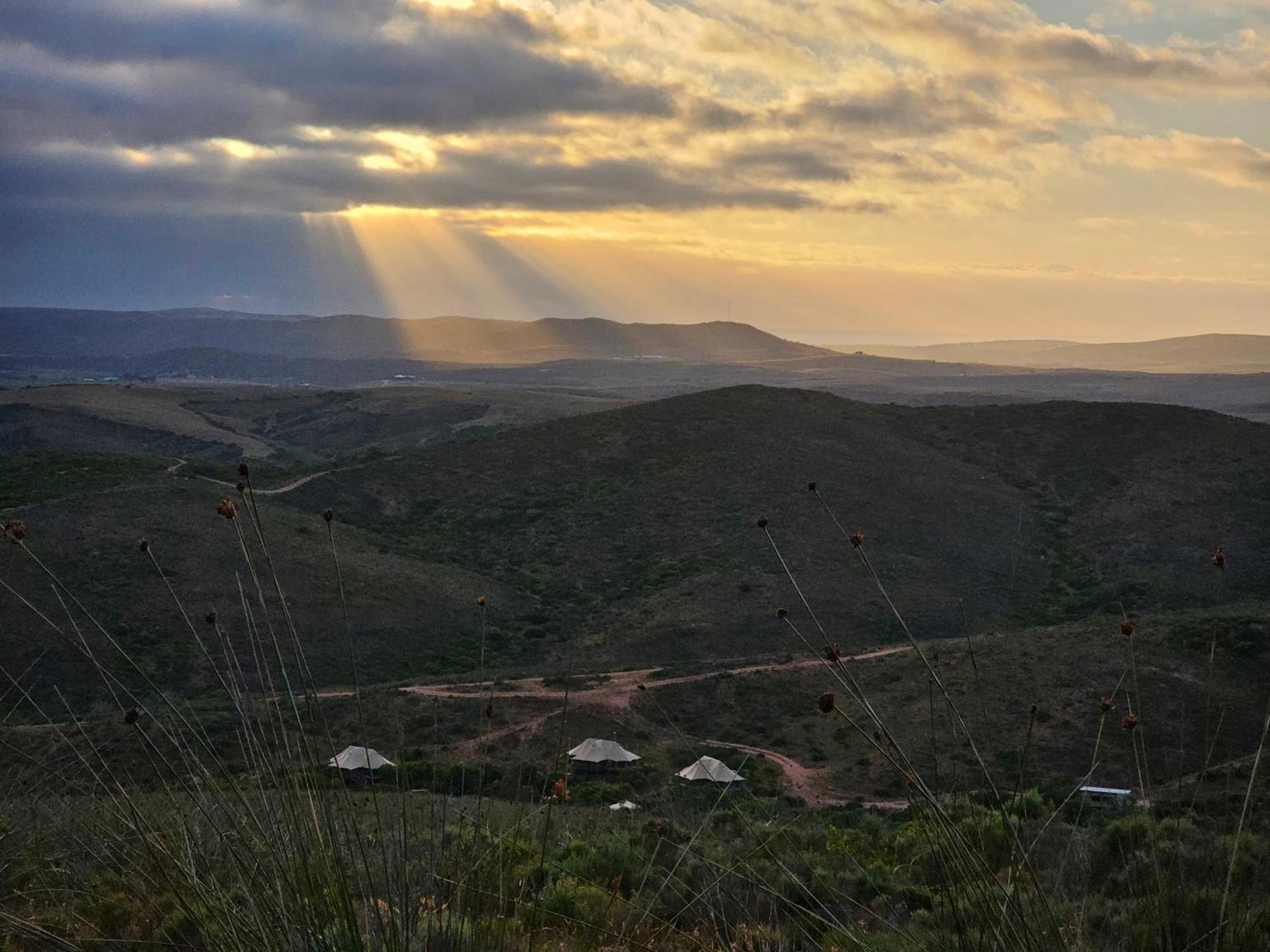 Hotel Garden Route Safari Camp Mosselbaai