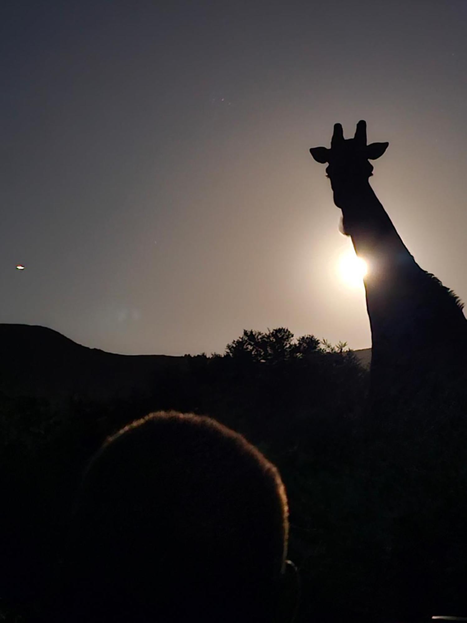 Garden Route Safari Camp Hotel
