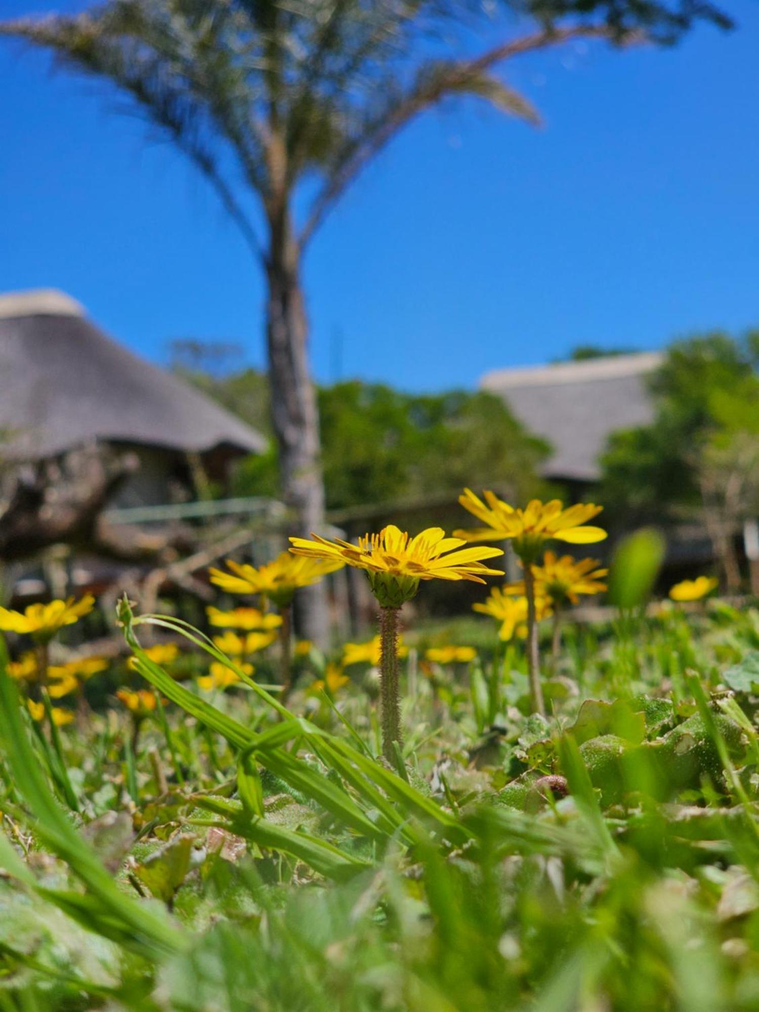Garden Route Safari Camp 3*