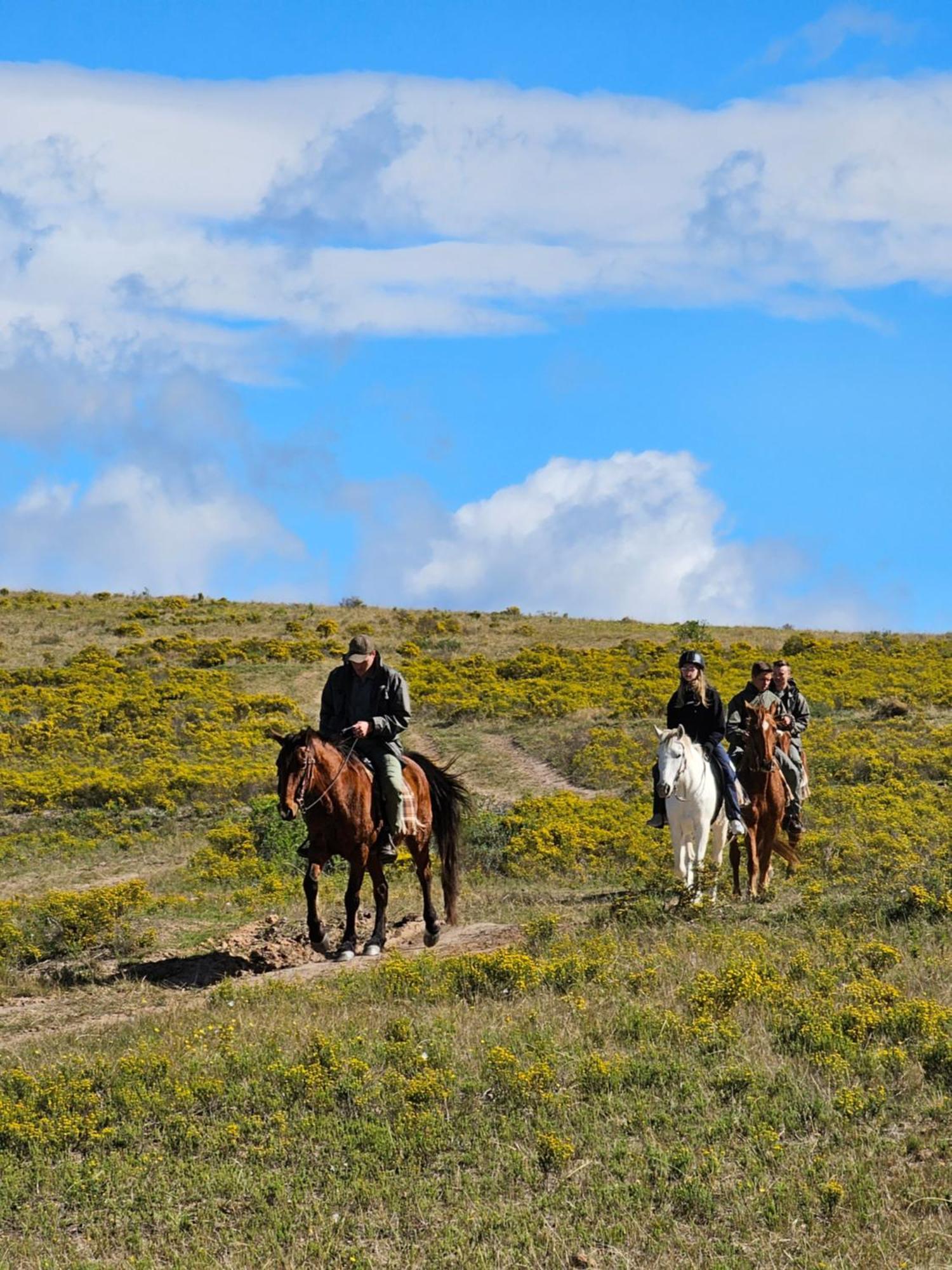 Hotel Garden Route Safari Camp Mosselbaai