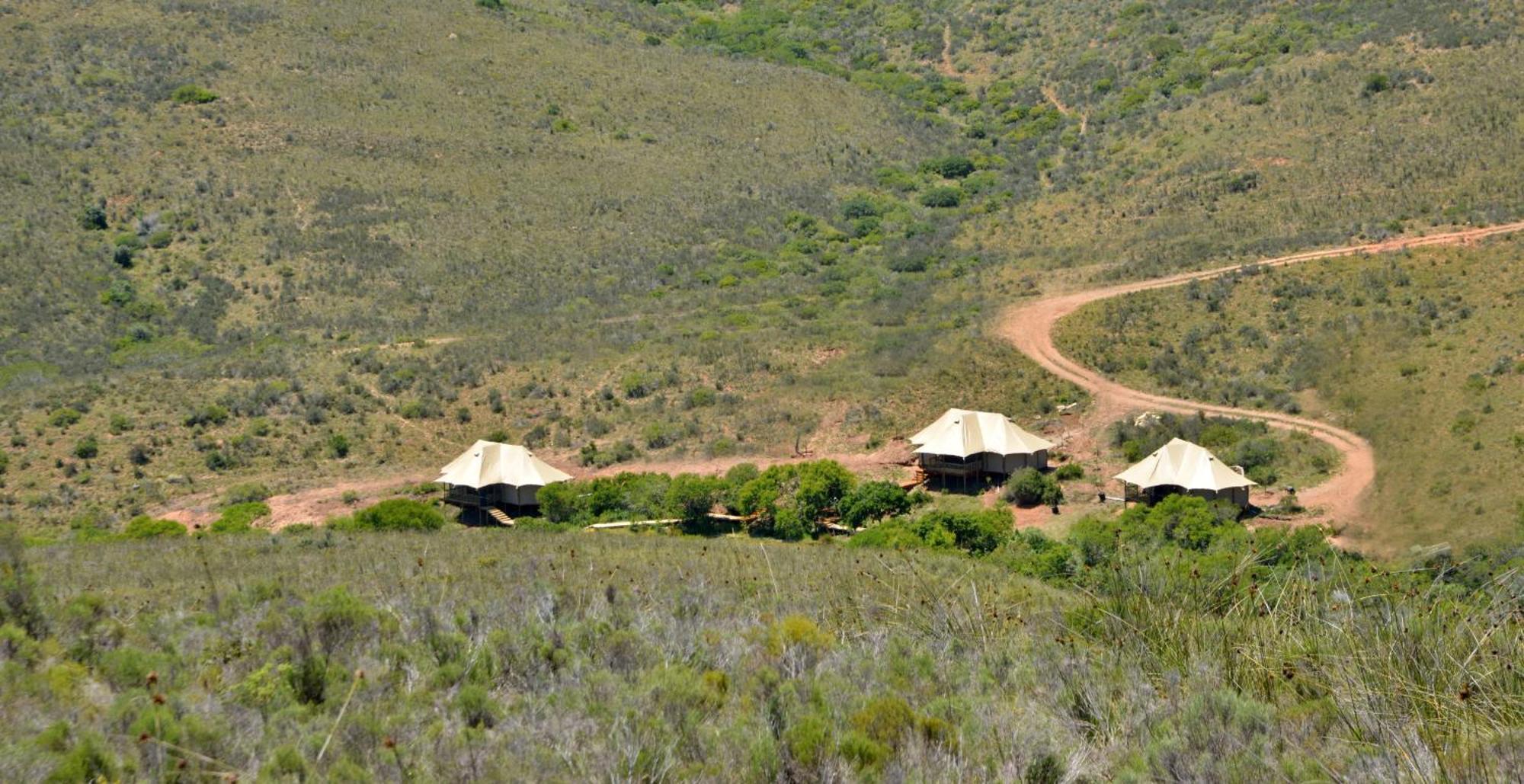 Garden Route Safari Camp Mossel Bay